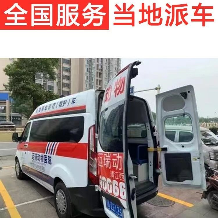 伊宁市私人救护车护送租赁服务：安全、专业、定制化的高端护送解决方案